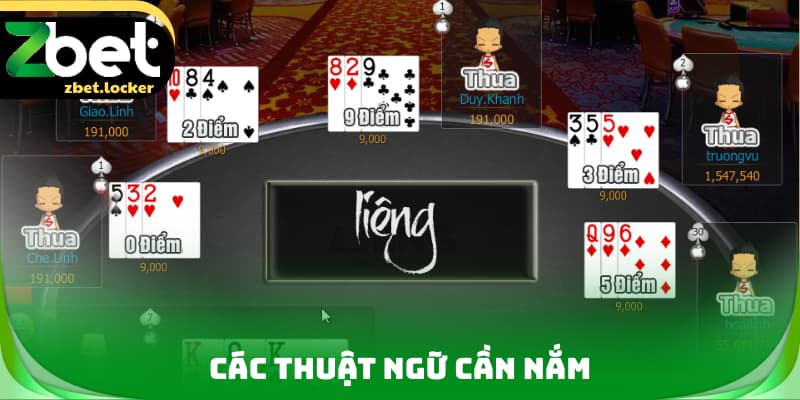 Các thuật ngữ quan trọng
