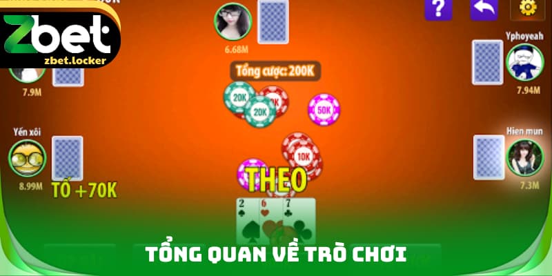 Tổng quan về trò chơi 